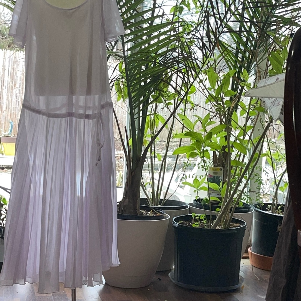 Fun flirty translucent dress.